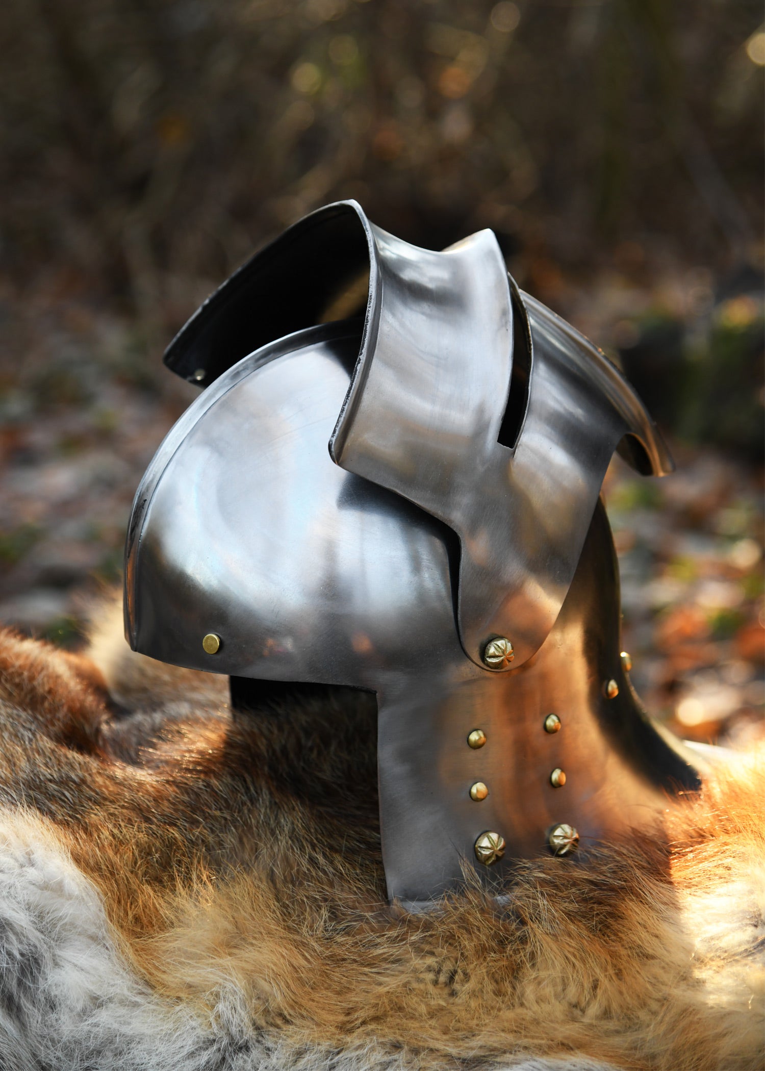 Imagen única de: Schaller Alemán, Ca. 1480, Acero De 1,6 Mm.