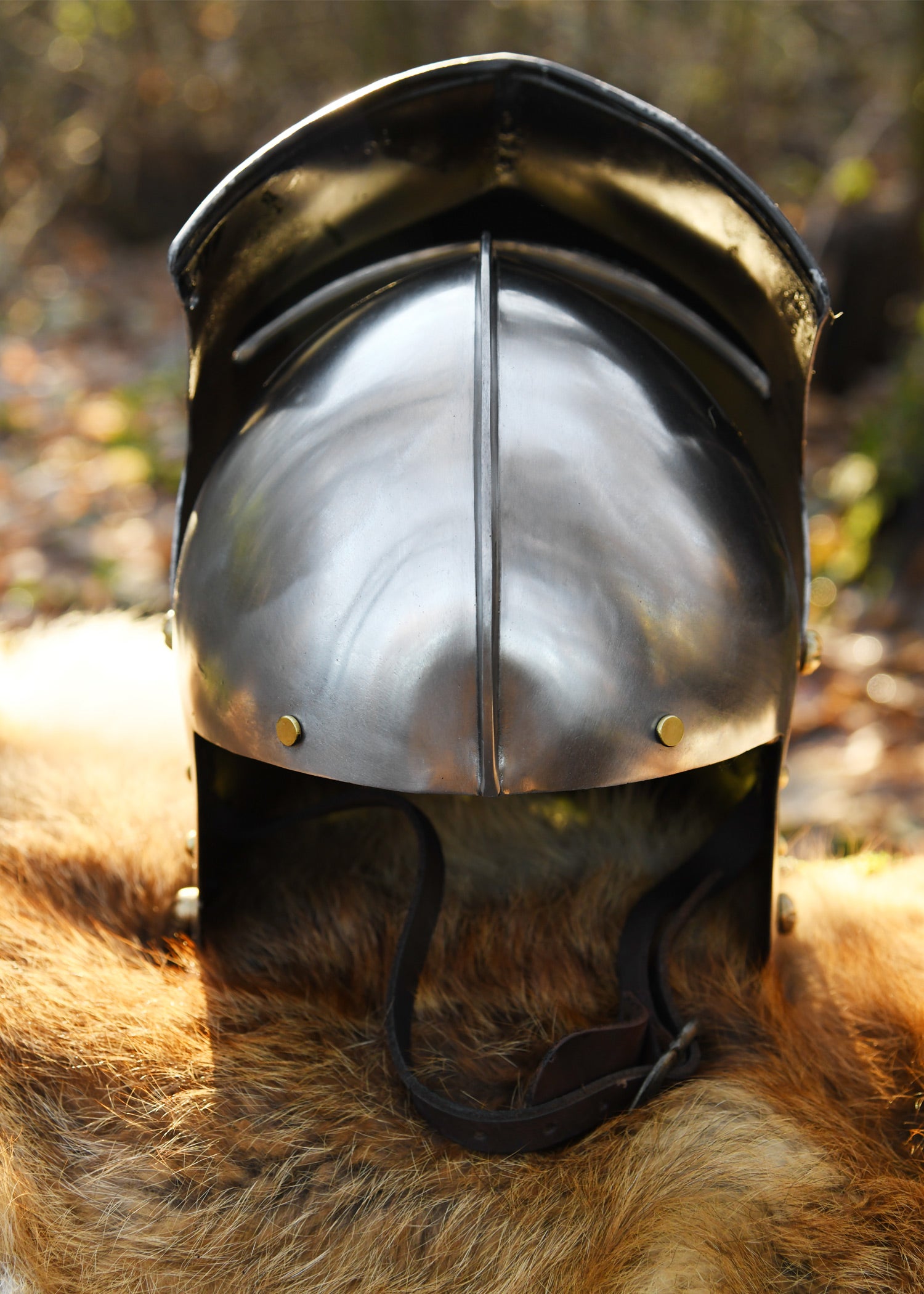 Imagen única de: Schaller Alemán, Ca. 1480, Acero De 1,6 Mm.