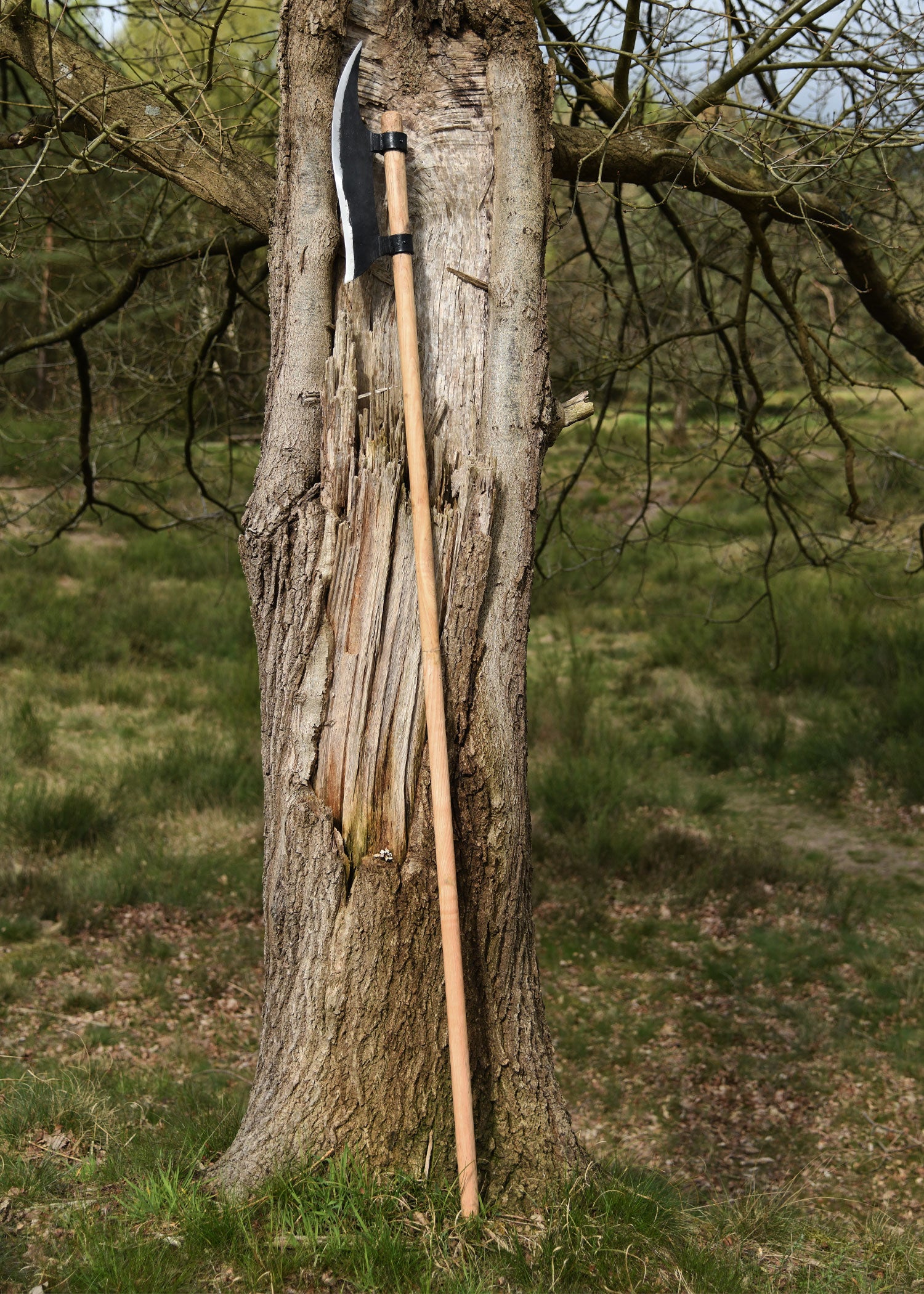 Imagen única de: Alabarda Con Asta