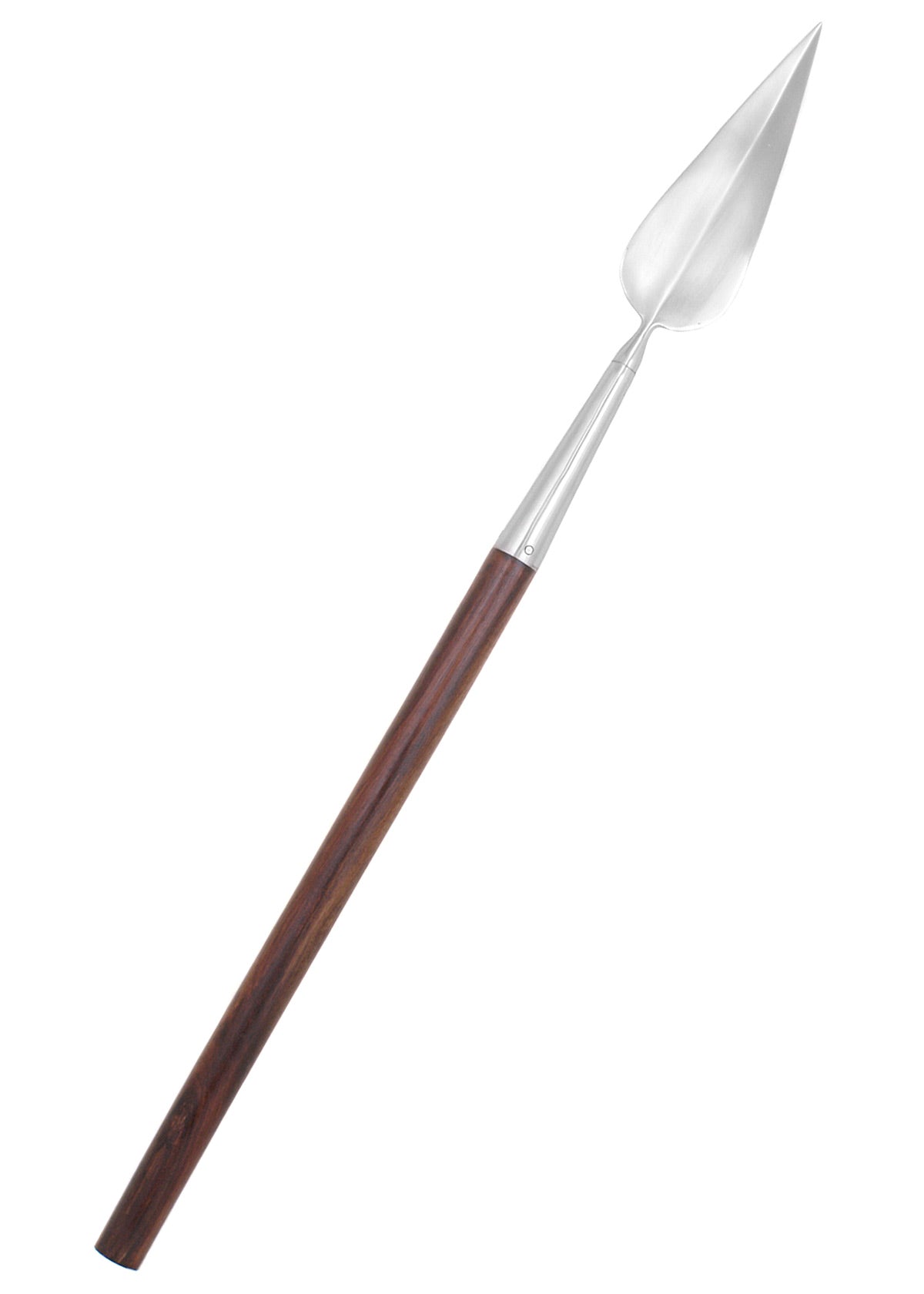 Imagen única de: Jabalina