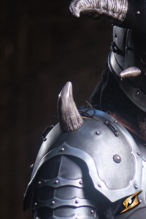 Imagen única de: Espaldares De Merodeador