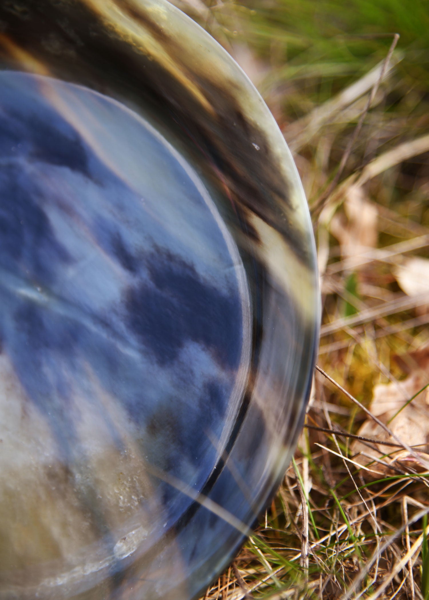 Imagen única de: Placa De Cuerno De Aprox. 20 Cm De Diámetro.