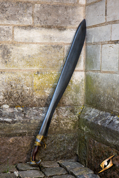 Imagen única de: Falcata