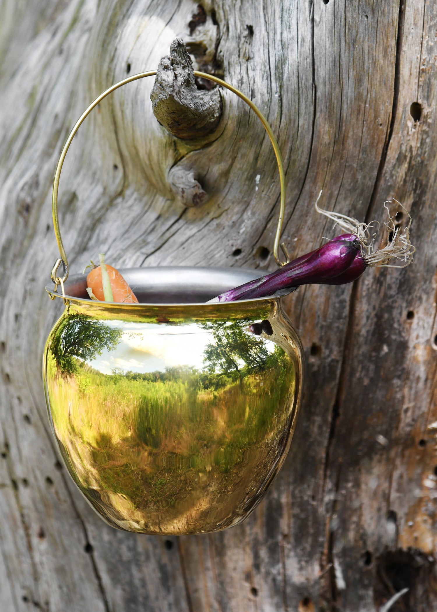 Imagen única de: Situla, Vasija Romana, Latón Estañado