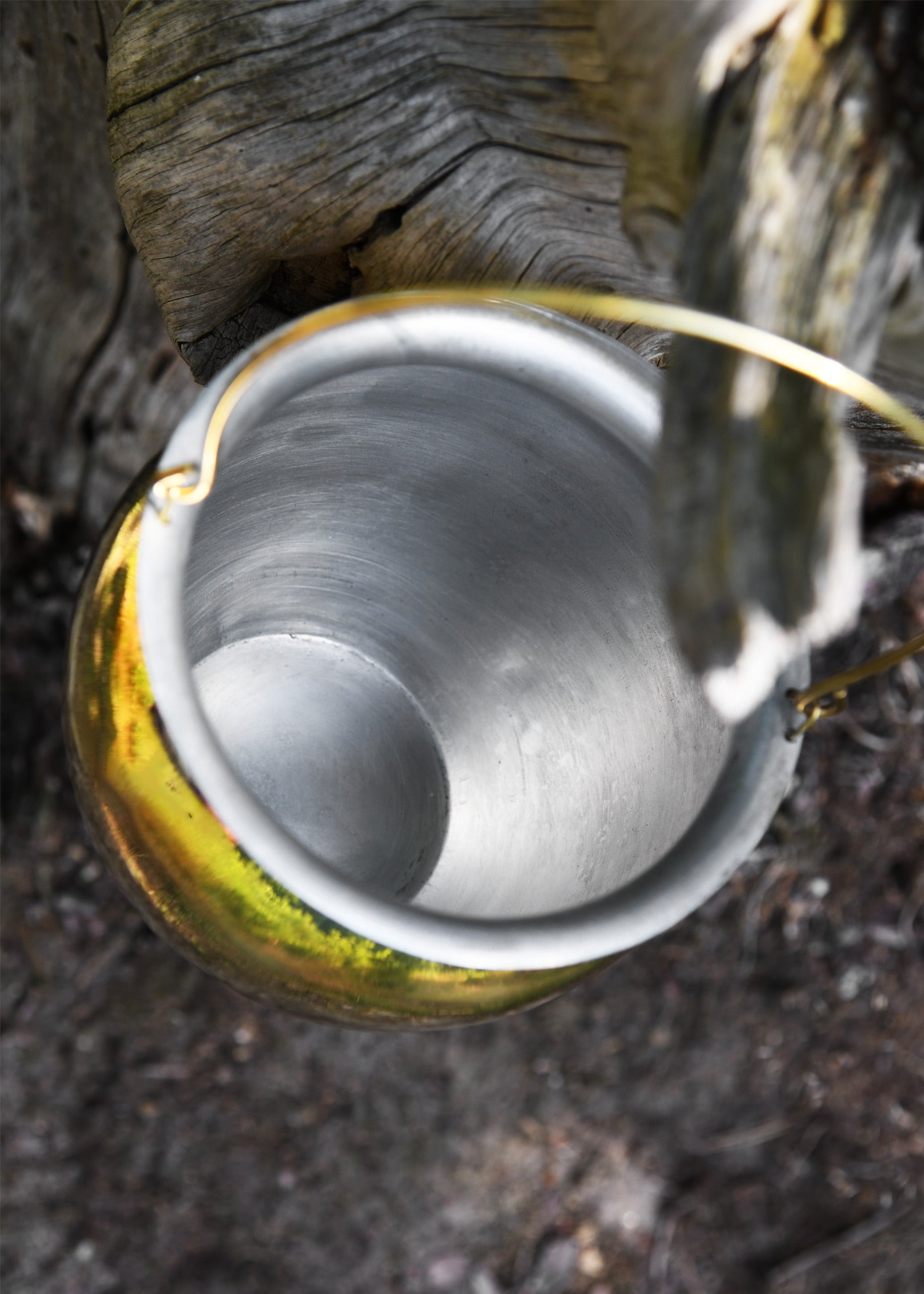 Imagen única de: Situla, Vasija Romana, Latón Estañado