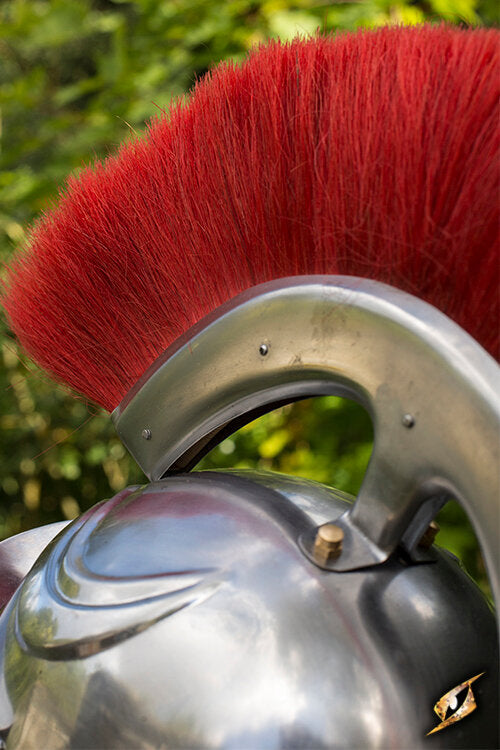 Imagen única de: Soldado Romano. Penacho