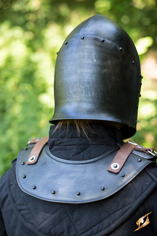 Imagen única de: Guerrero De Placa De Cuello