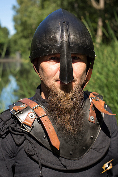 Imagen única de: Guerrero De Placa De Cuello