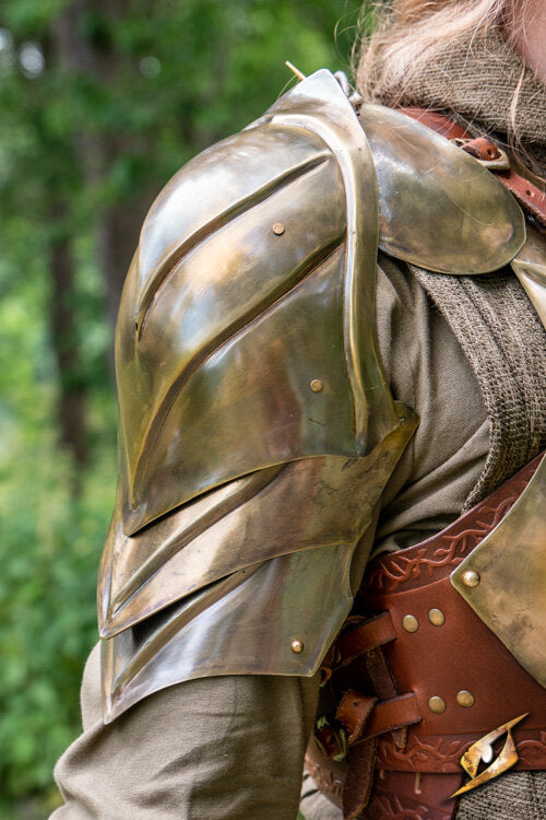 Imagen única de: Iluminar Hombro