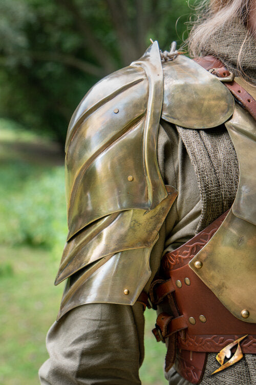 Imagen única de: Iluminar Hombro