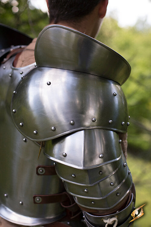 Imagen única de: Placas De Hombro Guerrero Gigante