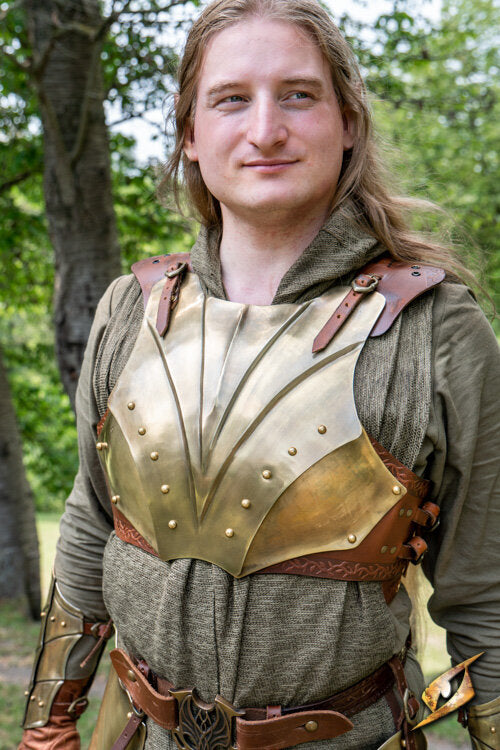 Imagen única de: Iluminar Coraza