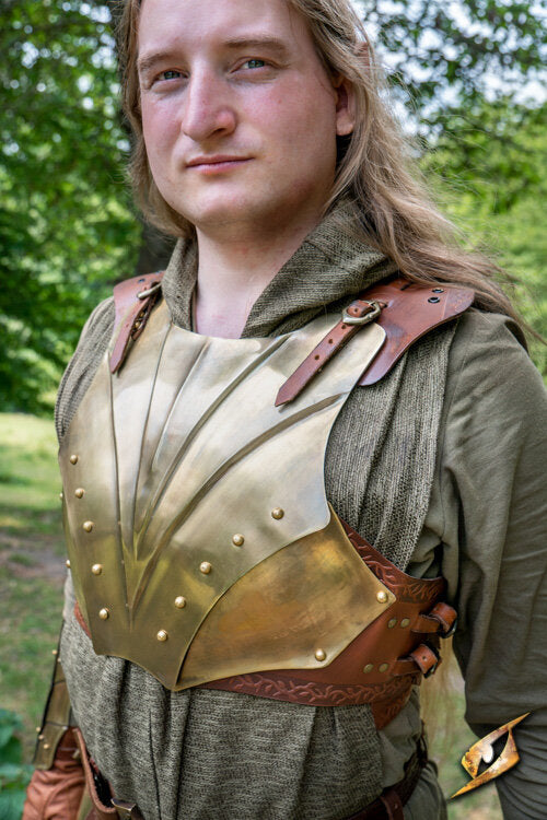 Imagen única de: Iluminar Coraza