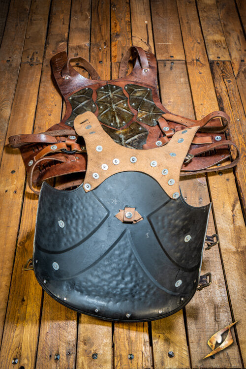 Imagen única de: Armadura De Asaltante