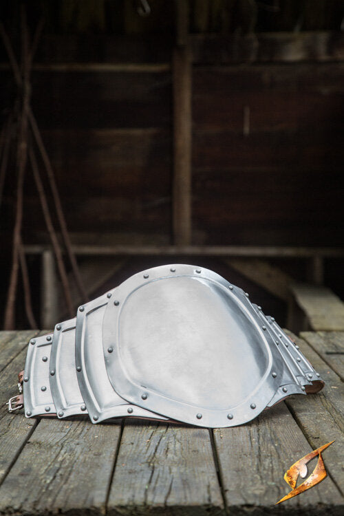 Imagen única de: Placa Intestinal