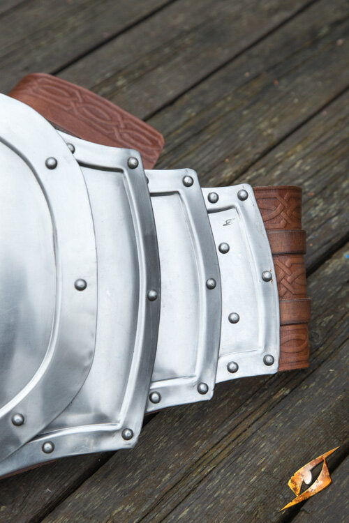 Imagen única de: Placa Intestinal