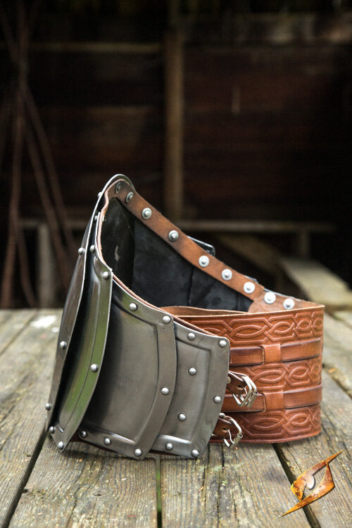 Imagen única de: Placa Intestinal