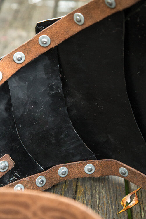 Imagen única de: Placa Intestinal