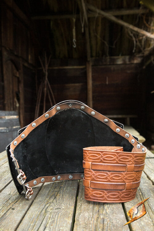 Imagen única de: Placa Intestinal