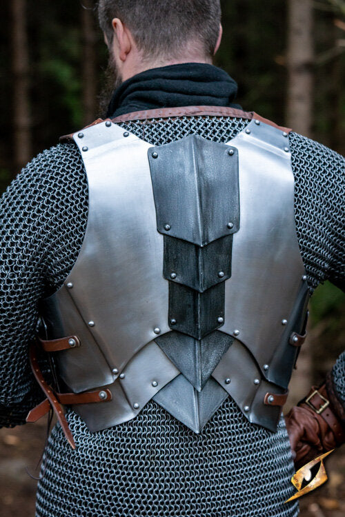 Imagen única de: Coraza Dreki