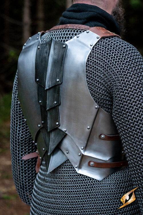 Imagen única de: Coraza Dreki