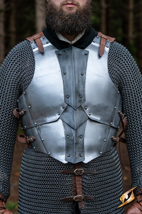 Imagen única de: Coraza Dreki