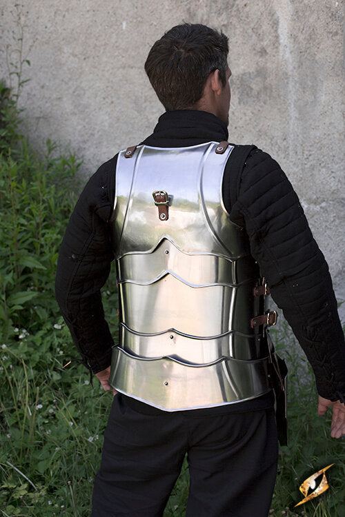 Imagen única de: Media Armadura Gótica