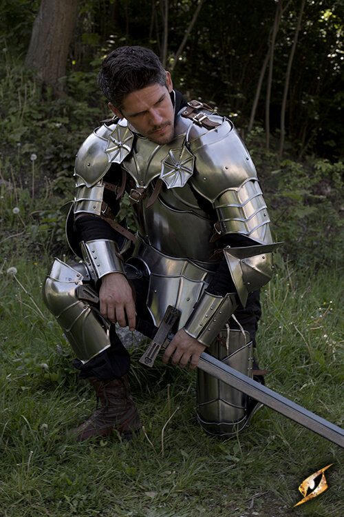 Imagen única de: Armadura Gótica