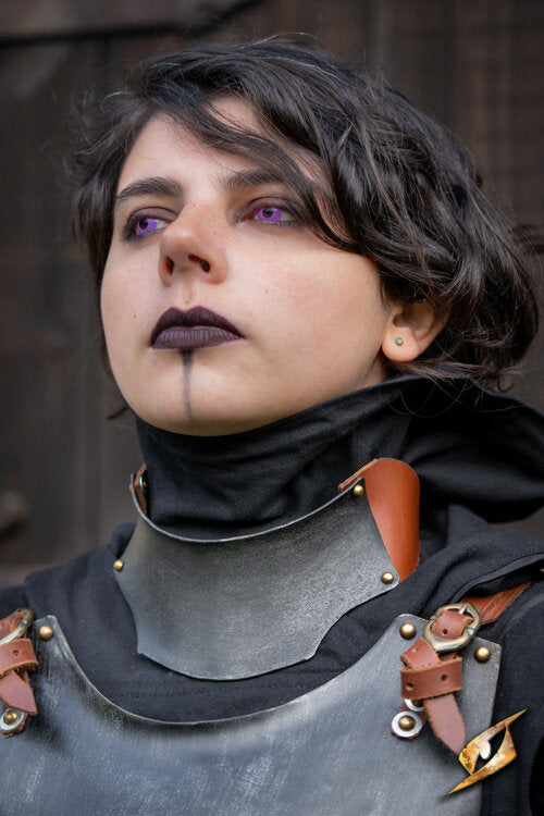 Imagen única de: Conjunto Completo De Armadura Renegade - Femenino