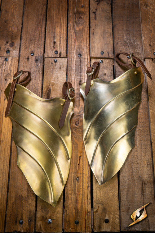 Imagen única de: Iluminar Escarcelas