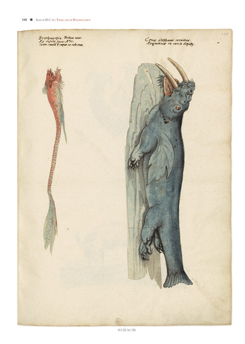 Imagen única de: Thierbuch De Conrad Gessner - Los Dibujos Originales