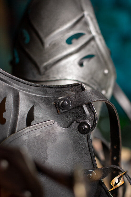 Imagen única de: Grebas Del Atardecer