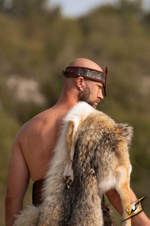 Imagen única de: Diadema De Fuerza