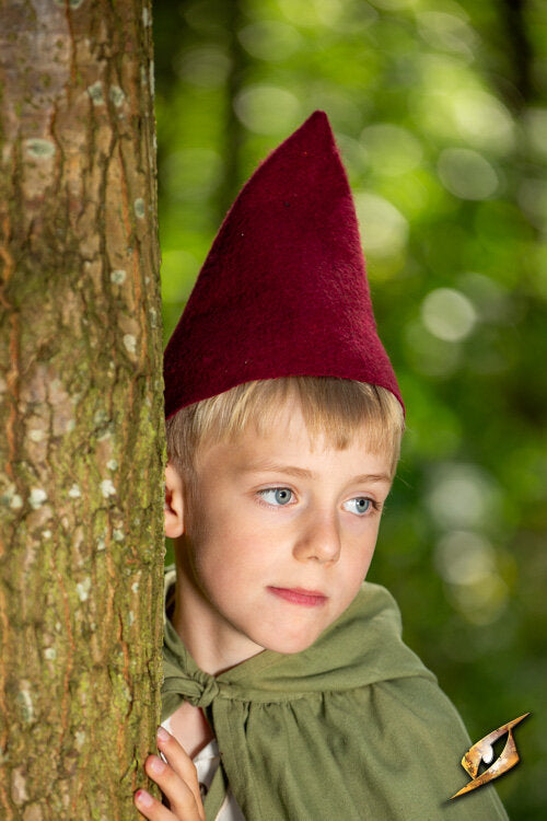 Imagen única de: Sombrero De Gnomo