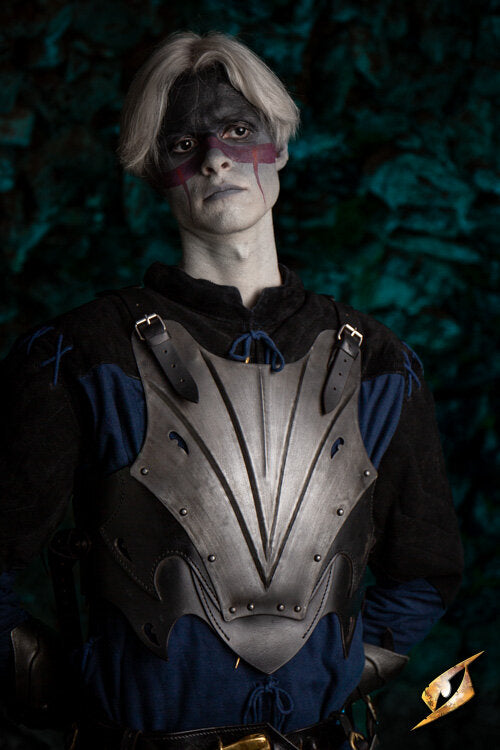 Imagen única de: Conjunto Completo De Armadura Eventide