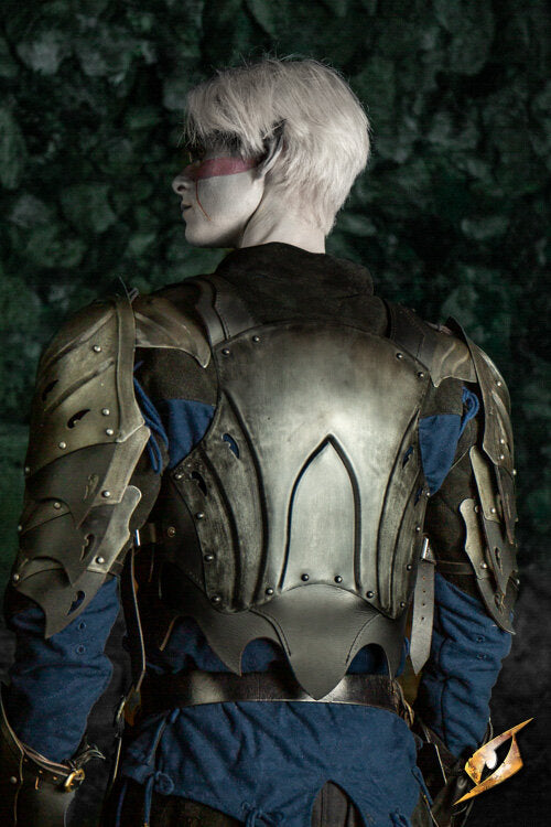 Imagen única de: Conjunto Completo De Armadura Eventide