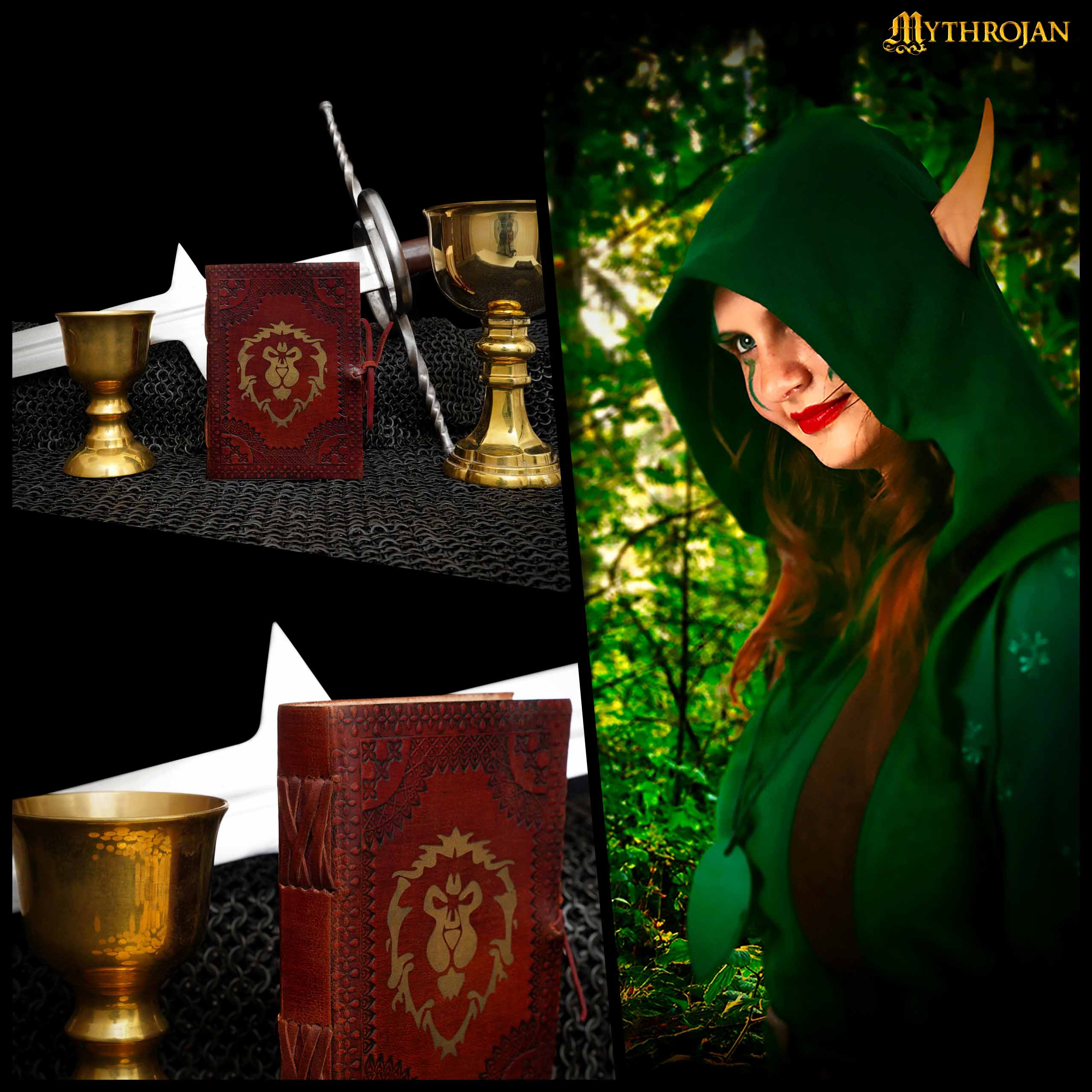 Imagen única de: Mythrojan para la Alianza Diario Warcraft Marrón 5x7 Pulgadas