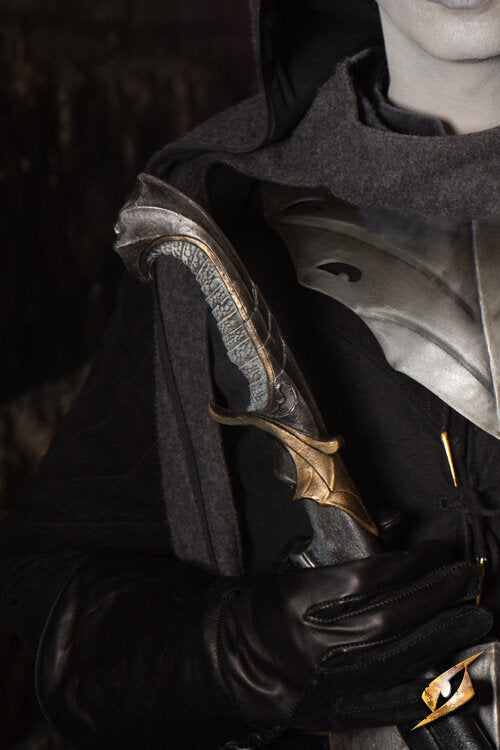 Imagen única de: Cimitarra Del Atardecer