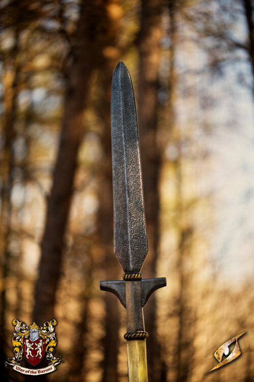 Imagen única de: Lanza Del Barón