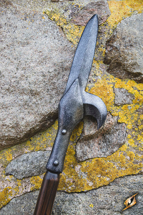 Imagen única de: Lucio