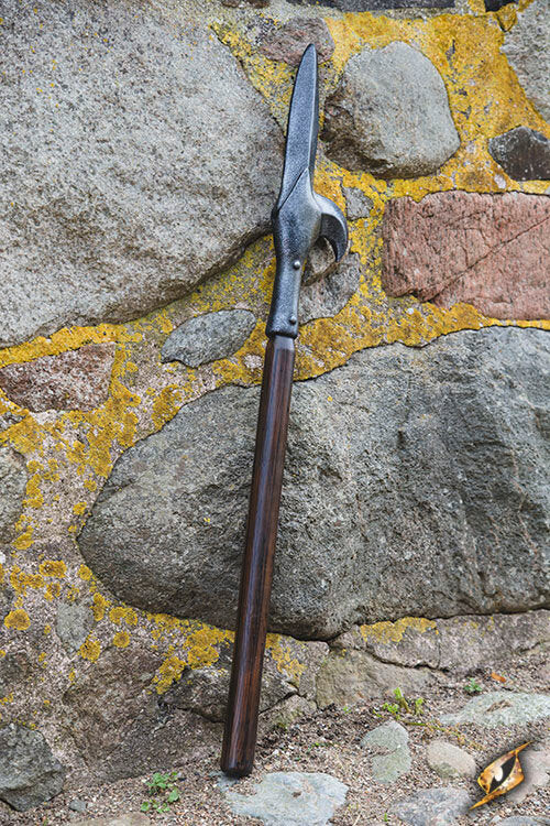 Imagen única de: Lucio