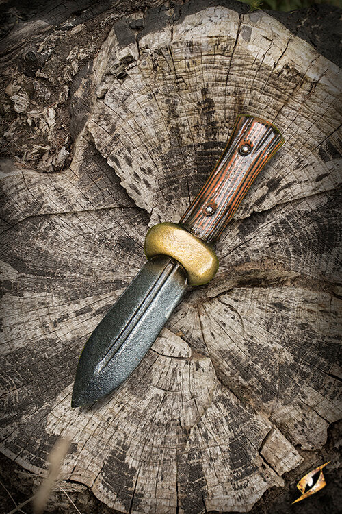 Imagen única de: Cuchillo Arrojadizo Navaja - 24 Cm