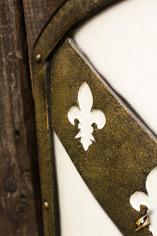 Imagen única de: Escudo De León