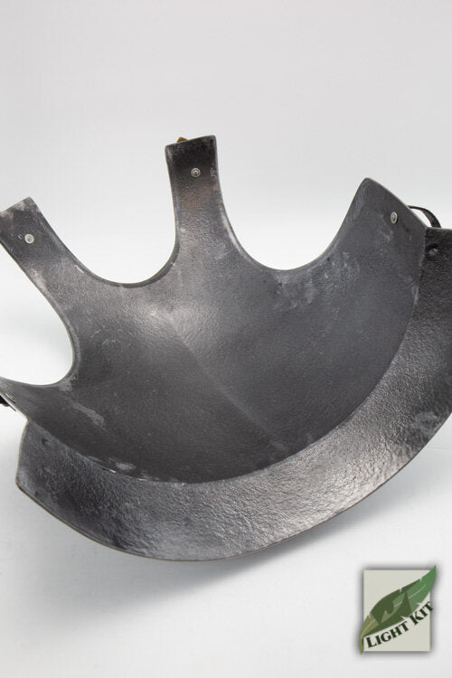 Imagen única de: Coraza Mercenaria