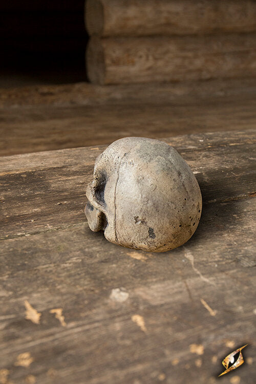 Imagen única de: Cráneo Pequeño