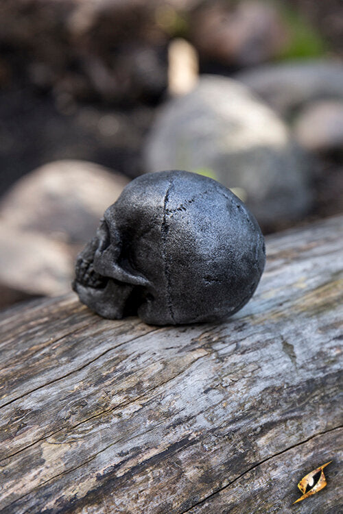 Imagen única de: Cráneo Pequeño