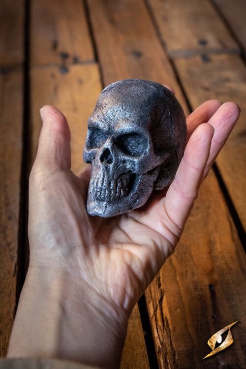 Imagen única de: Cráneo Pequeño