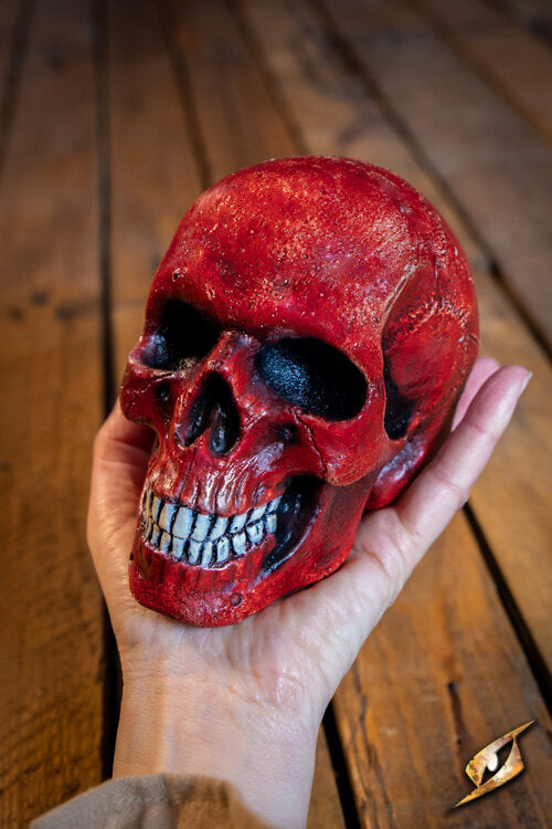 Imagen única de: Cráneo Mediano