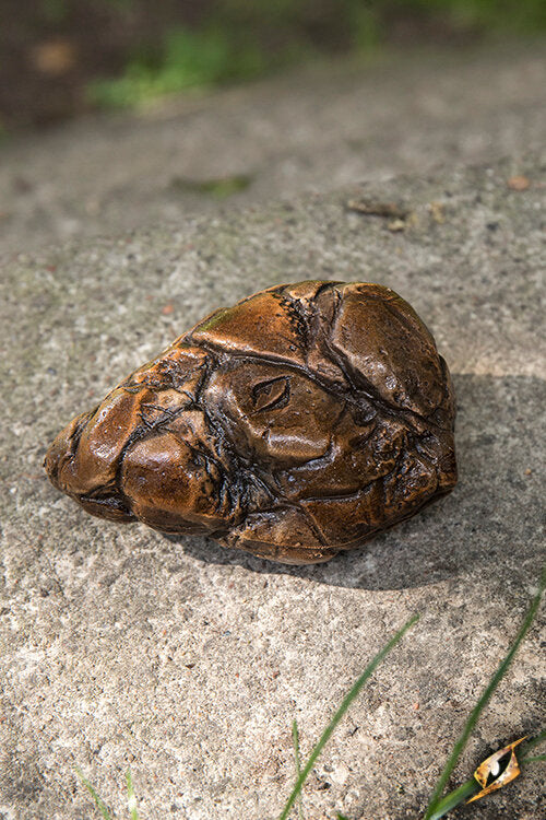 Imagen única de: Piedra