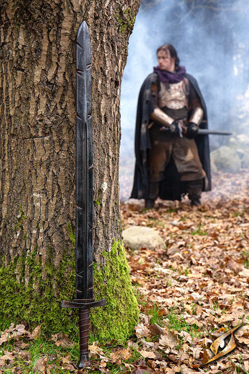 Imagen única de: Espada De Lacayo Desgastada Por La Batalla